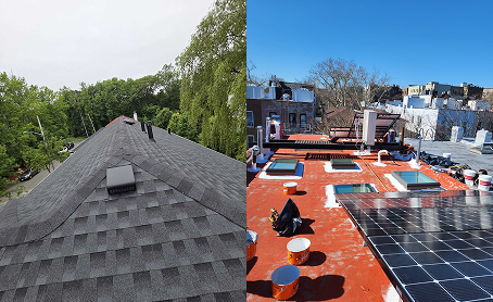 Gray asphalt shingle roof ridge line with surrounding trees